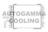 AUTOGAMMA 104177 Radiator, engine cooling